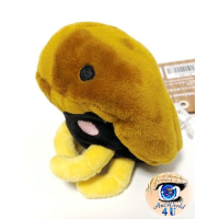 Authentic Pokemon Center Plush Pokemon fit Kabuto 10cm